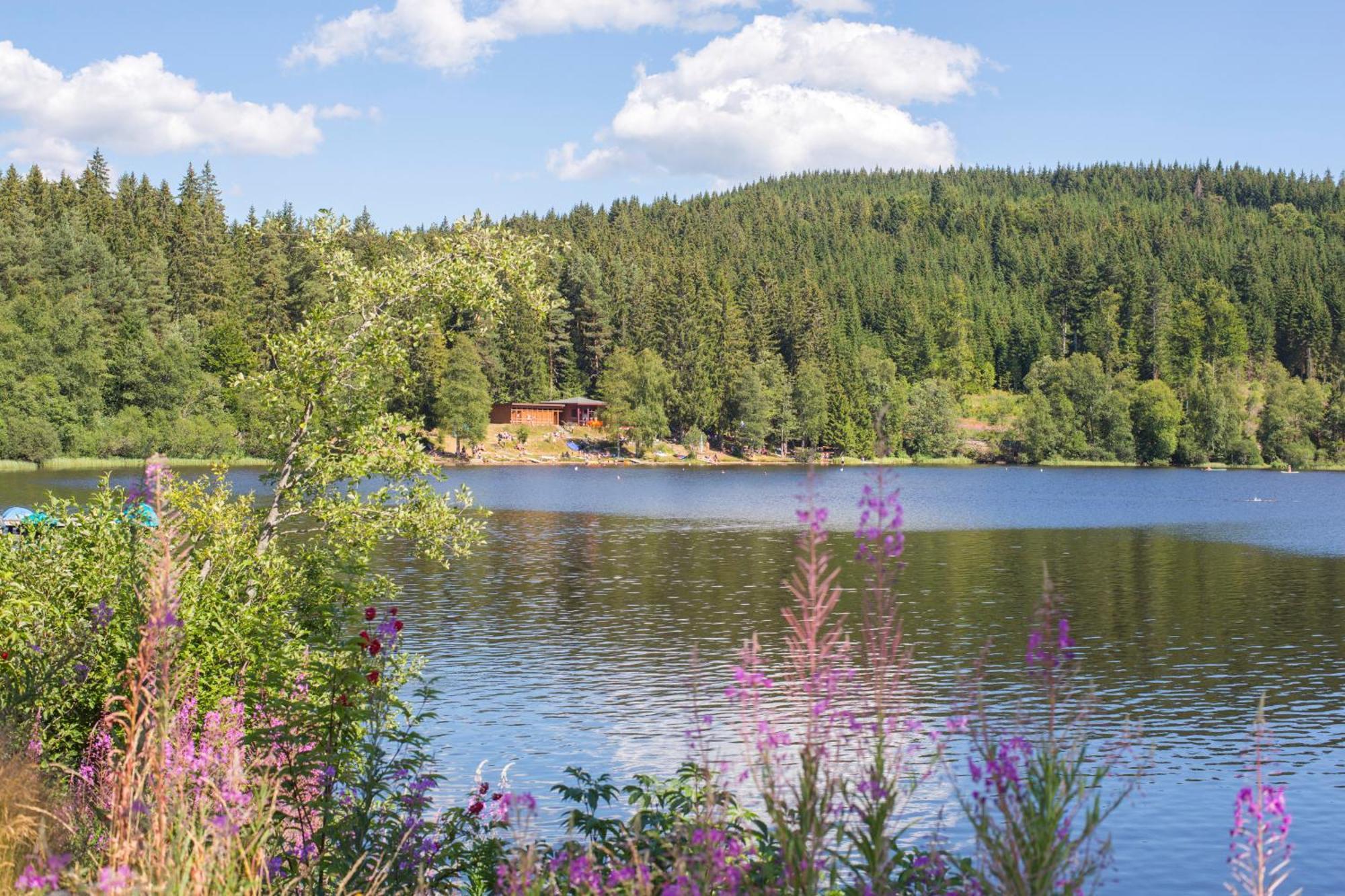 Ferienwohnung Am Schwellenweiher Feldberg  Exterior foto